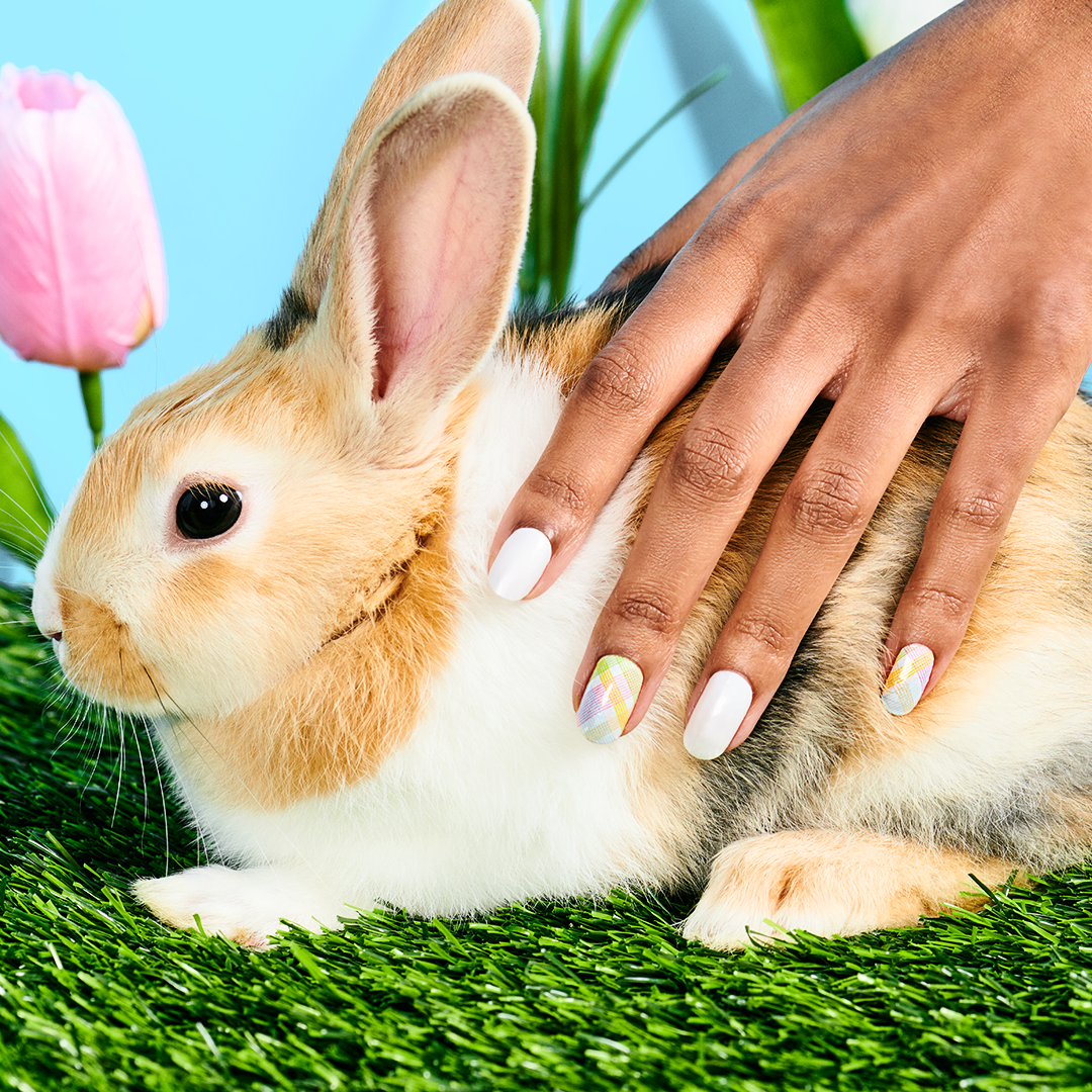 Spring Picnic Color Street Easter Collection 2021